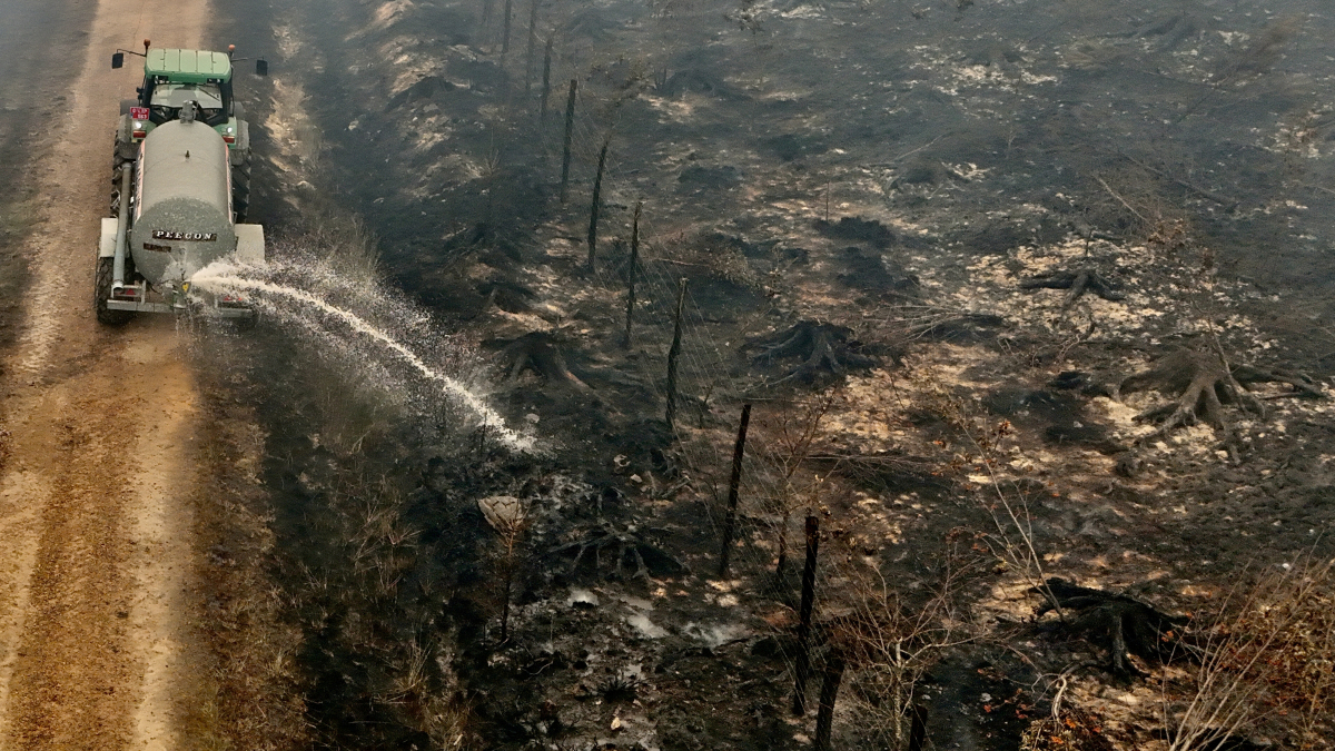 Belgium battles largest wildfire on record as blaze nears German border