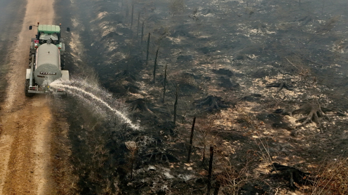 Belgium battles largest wildfire on record as blaze nears German border