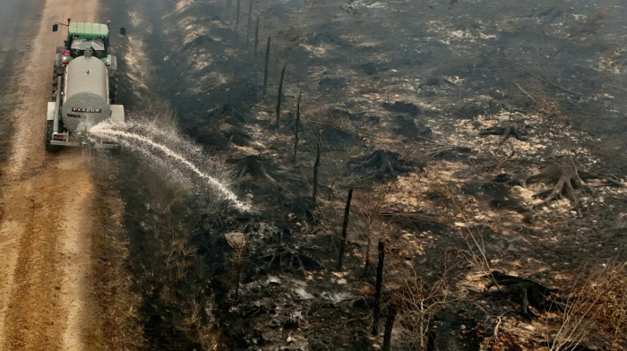 Belgium battles largest wildfire on record as blaze nears German border