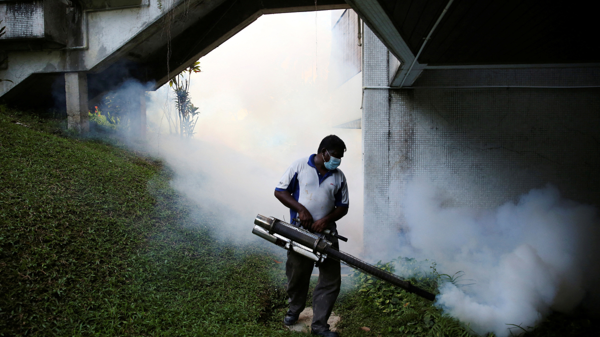 Dengue cases surge across Malaysia, health ministry issues warning