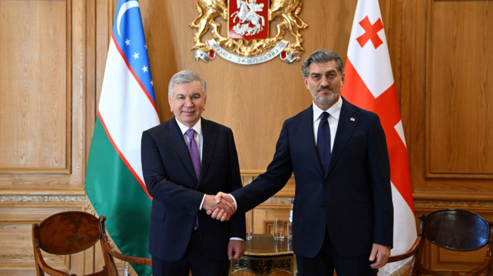 Uzbekistan and Georgia launch digital permits to speed up freight