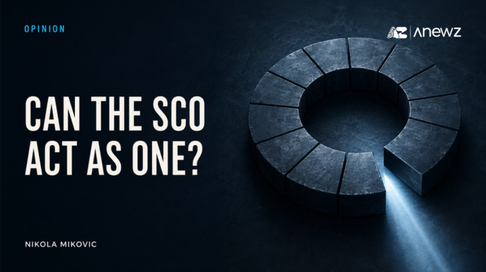 Shanghai Cooperation Organisation: Can It Become a Global Force?