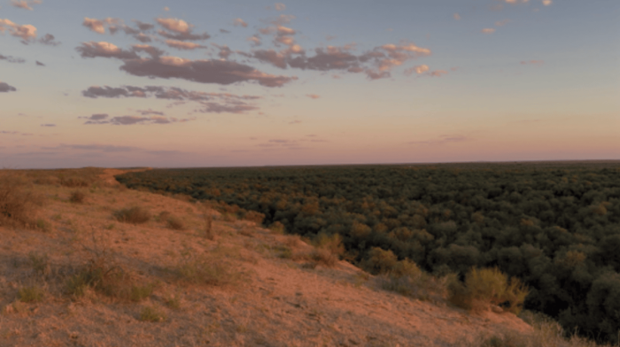 Uzbekistan ranks among world’s top solo travel destinations