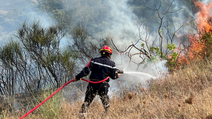 Algeria plans death penalty for deliberately starting wildfires