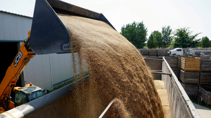 World food prices climb to highest level since late 2022