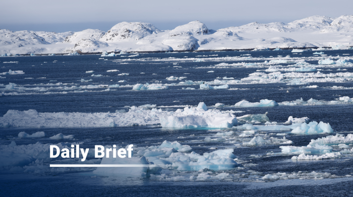 Daily Brief: Top 5 science stories making headlines