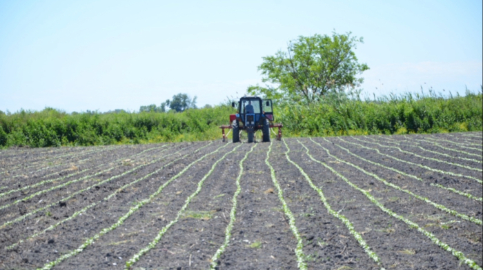 Azerbaijan prepares new law on the agricultural sector