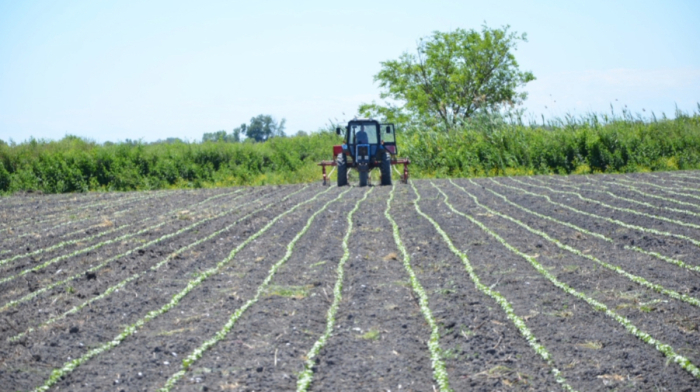 Azerbaijan prepares new law on the agricultural sector