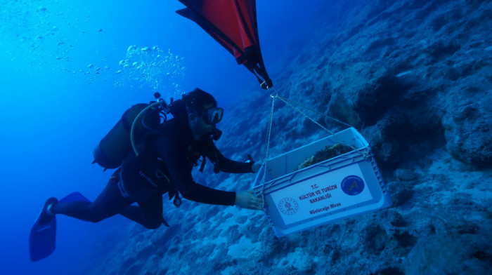 Türkiye's coast may be home to world’s oldest shipwreck