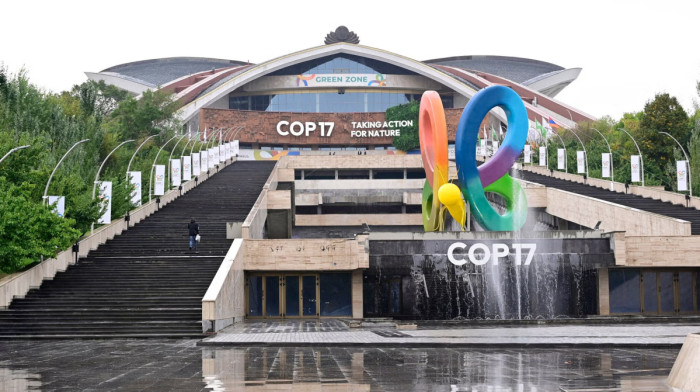 COP17 explained: Is the world on track for 2030 nature targets?