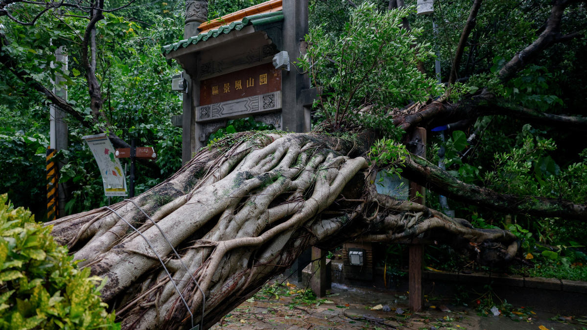 Typhoon Champi sweeps past Taiwan, leaving 1 dead, 527 injured