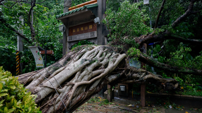 Typhoon Champi sweeps past Taiwan, leaving 1 dead, 527 injured