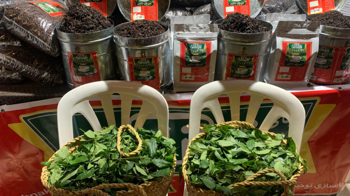 Iran holds Lahijan Tea Festival, eyes investment boost, international market