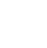 AnewZ